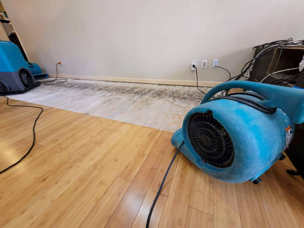 Professional Emergency Water Damage technician working in Warm Springs, CA